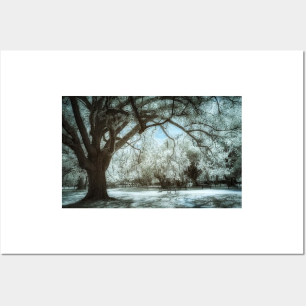 New Orleans Audubon Park Infrared Wall Art by jforno